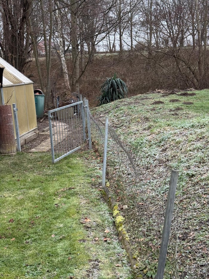 Räum Frey